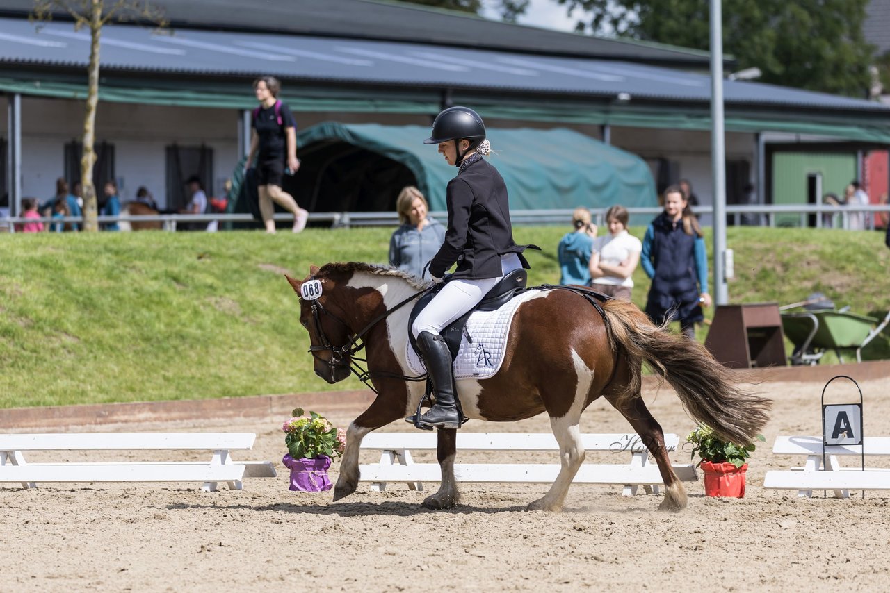 Bild 26 - Pony Akademie Turnier